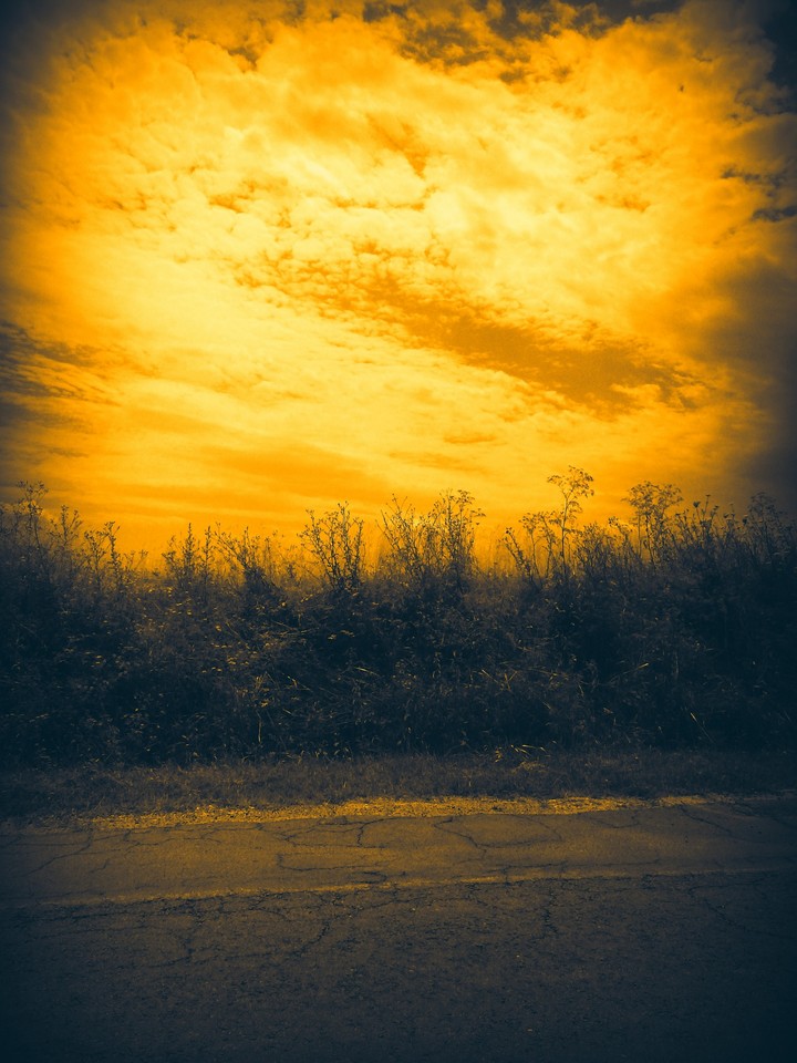 yellow world