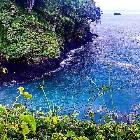 OCEAN