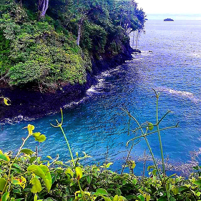 OCEAN
