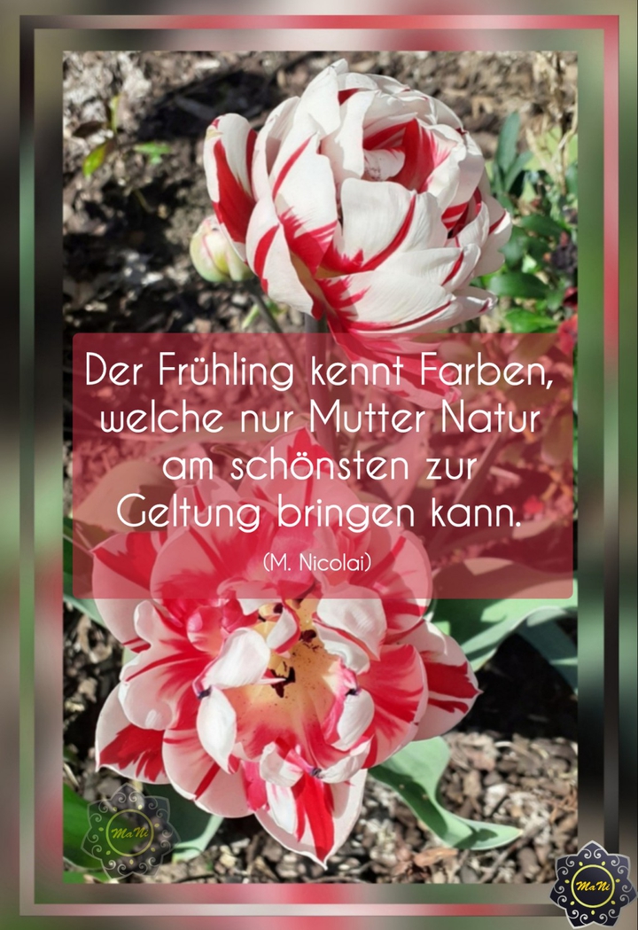 Blumen
