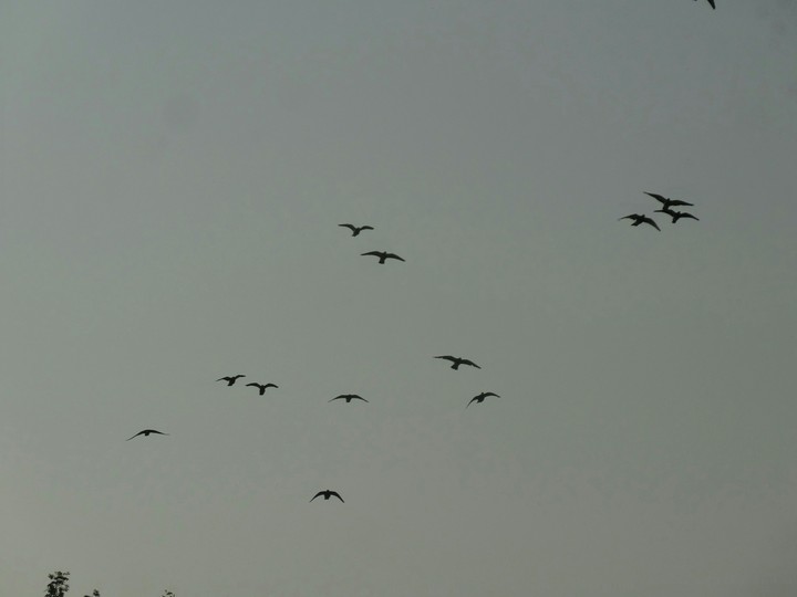 nk photography