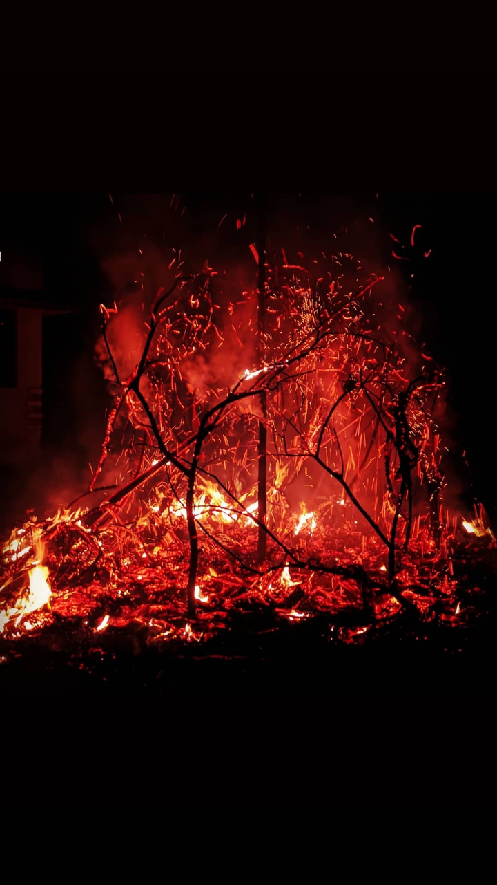 Bonfire