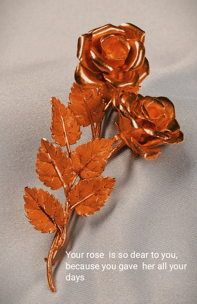 Rose