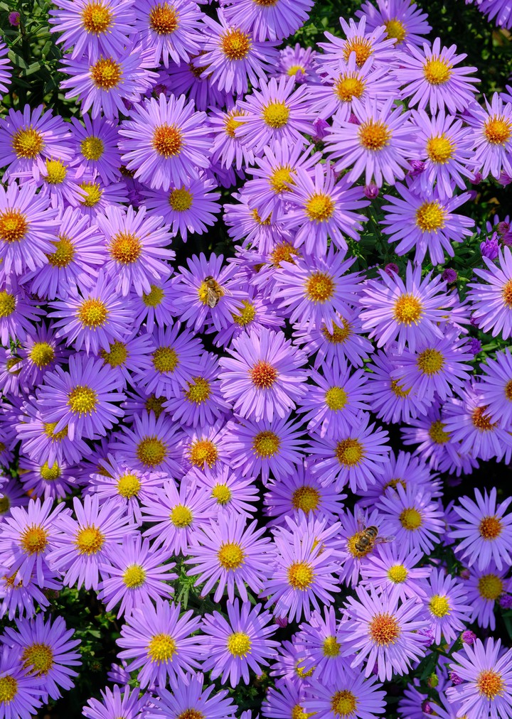 ♧~♡~♧