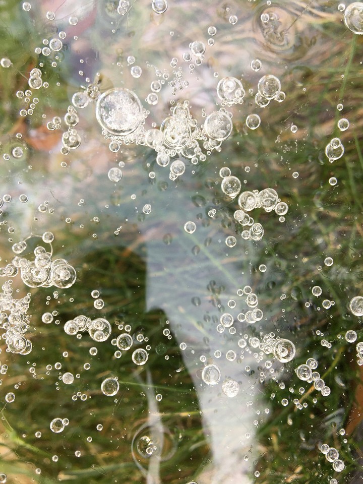 frozen bubbles