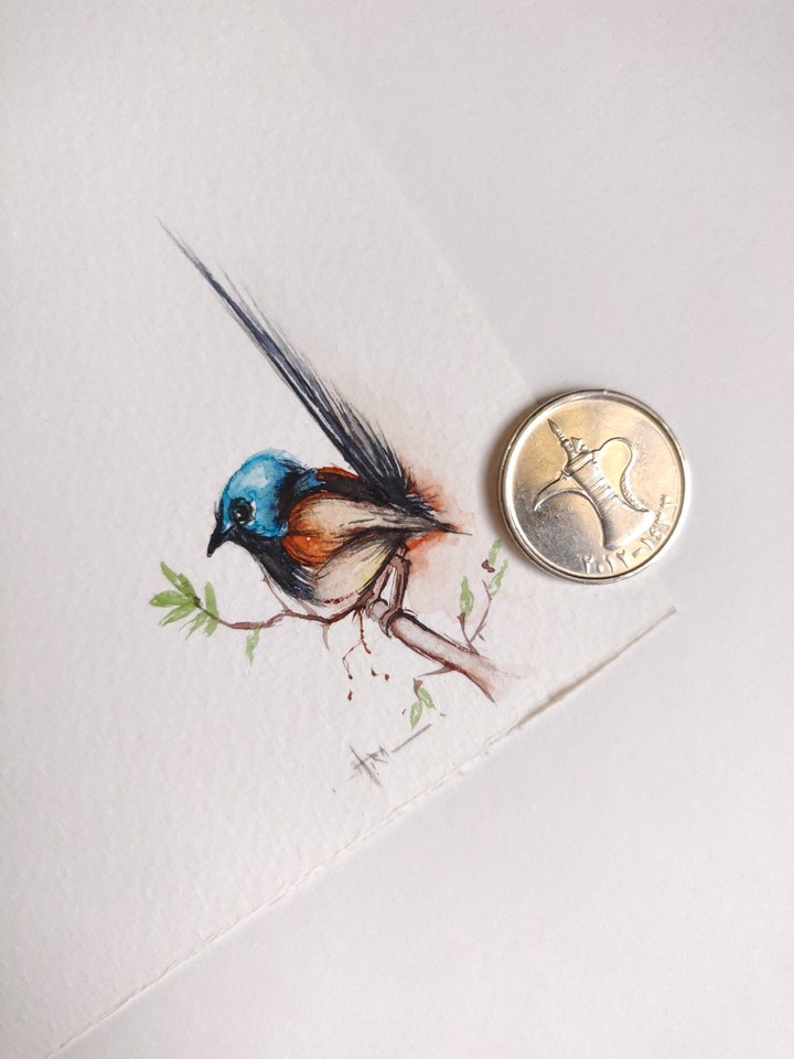 Bird