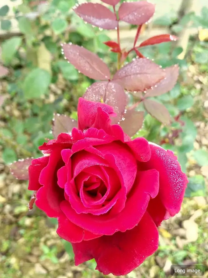 ❤