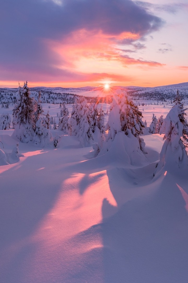 winter