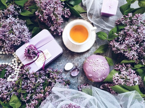 My lovely lilac morning