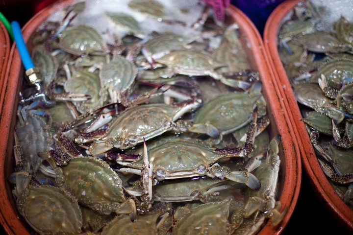 Asia