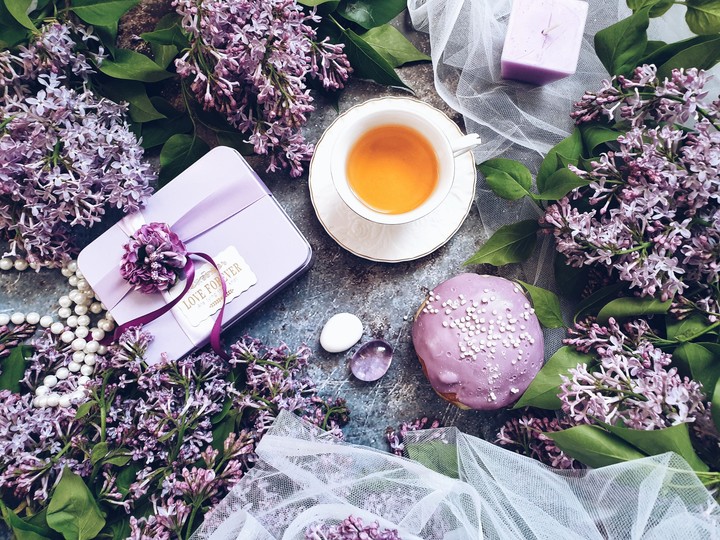 My lovely lilac morning