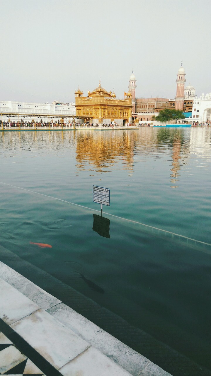 Golden Temple!