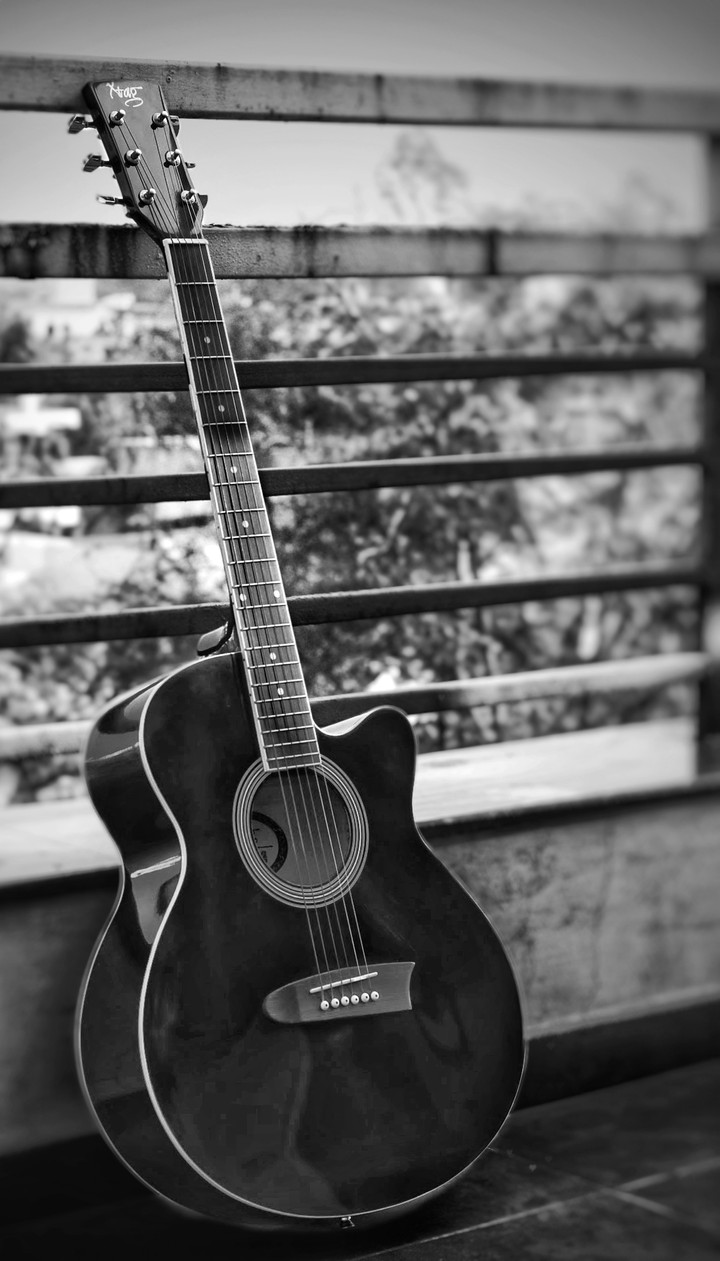 Guitar