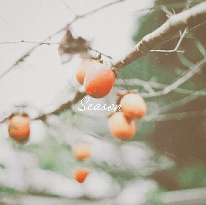 album hồng