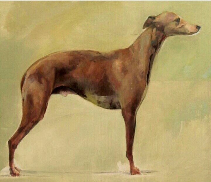 Greyhound Art