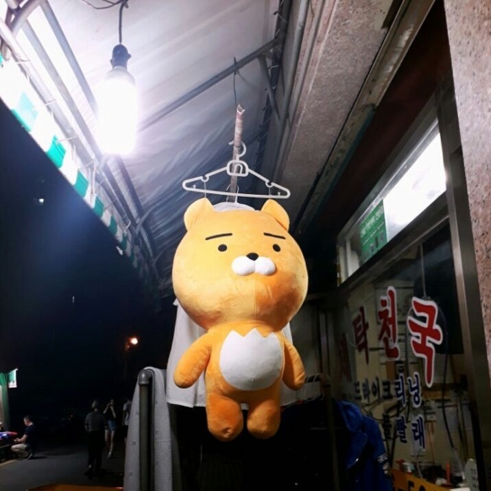 세탁하는날