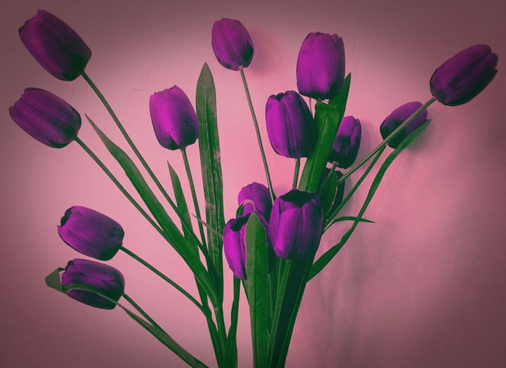 fleur