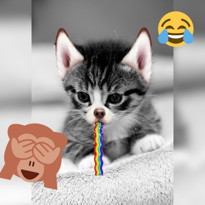 Gatito Vomitando