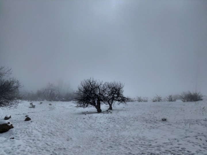 foggy