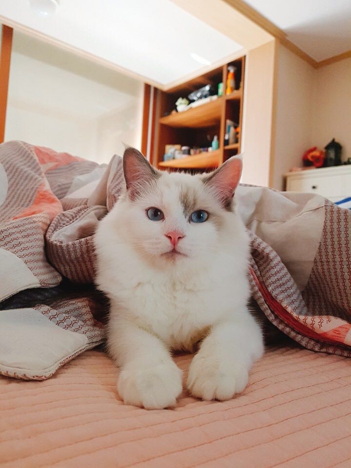 추워요~