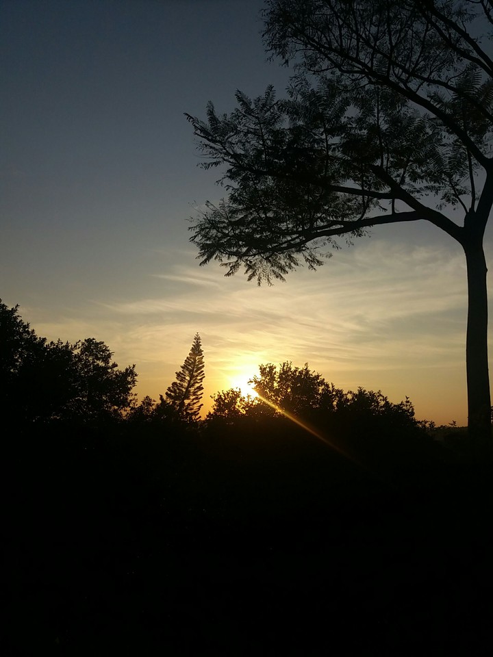 Nature
