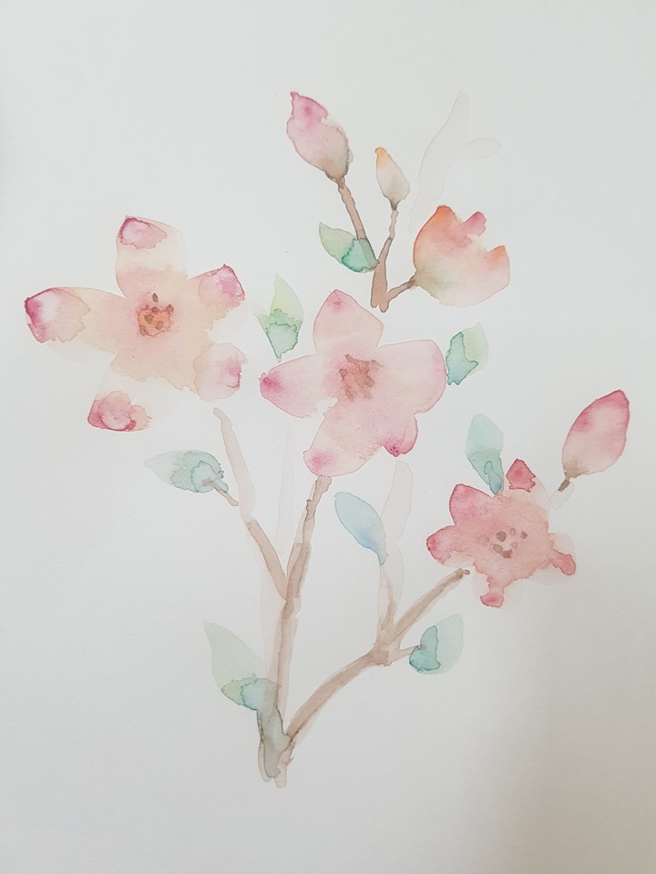 수채화