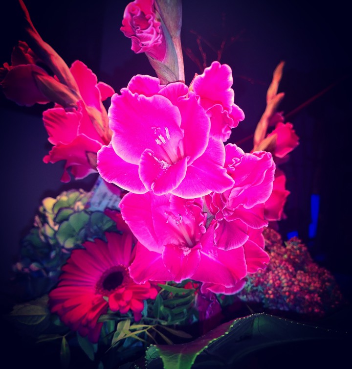 Flower