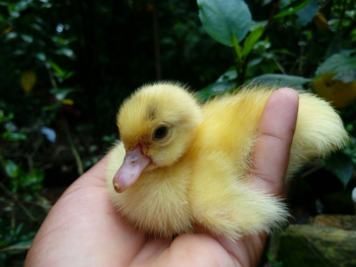 new born