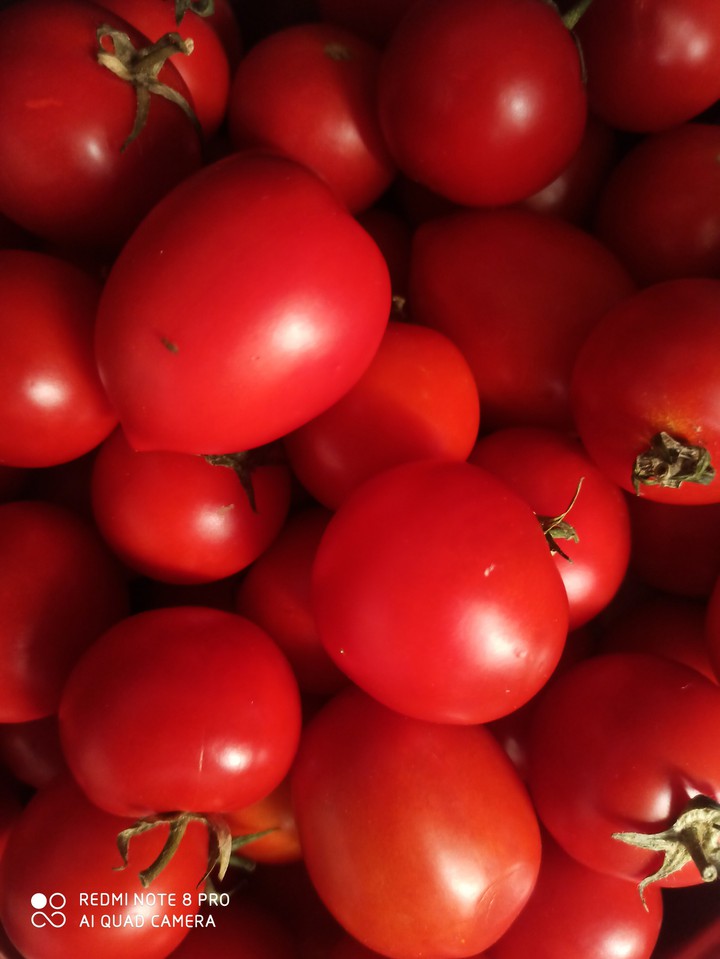 Tomatoes