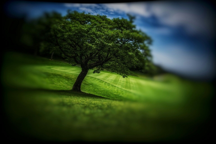 Green INDIA