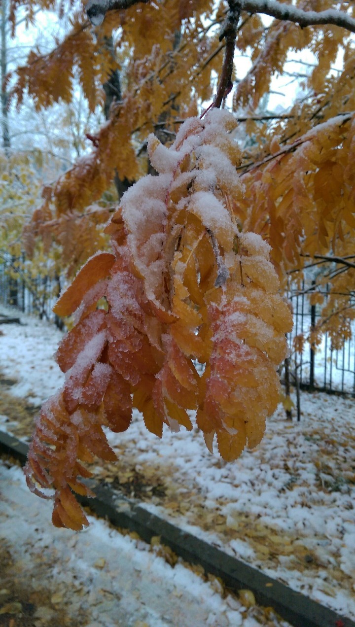 The first snow.