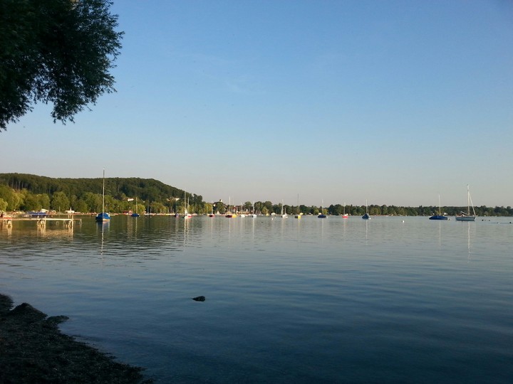 Summer morning
