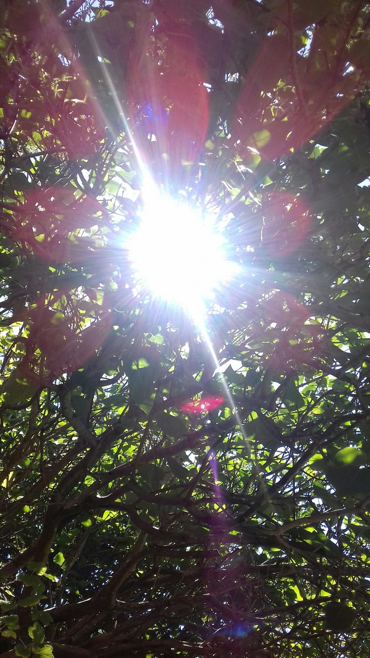 shining sun