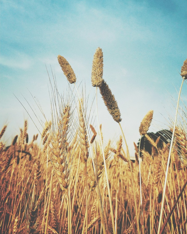 farmers proud
