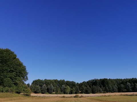 Blue Sky