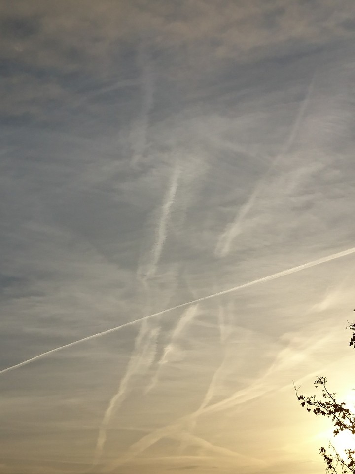 Contrail