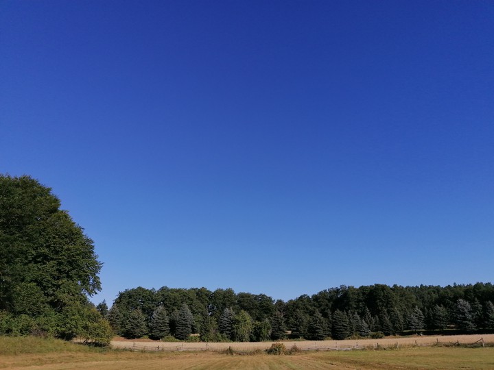 Blue Sky