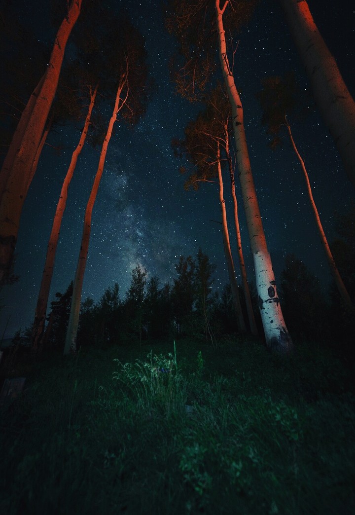 Дж
