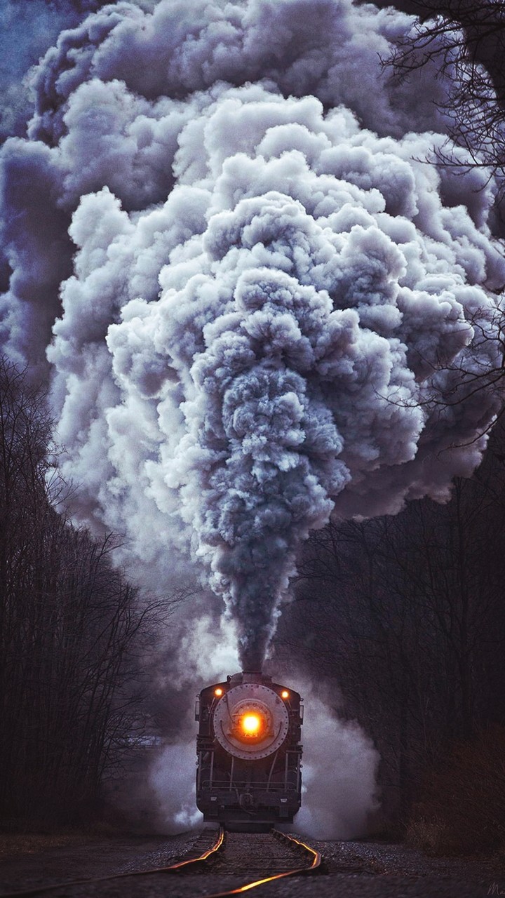 fog