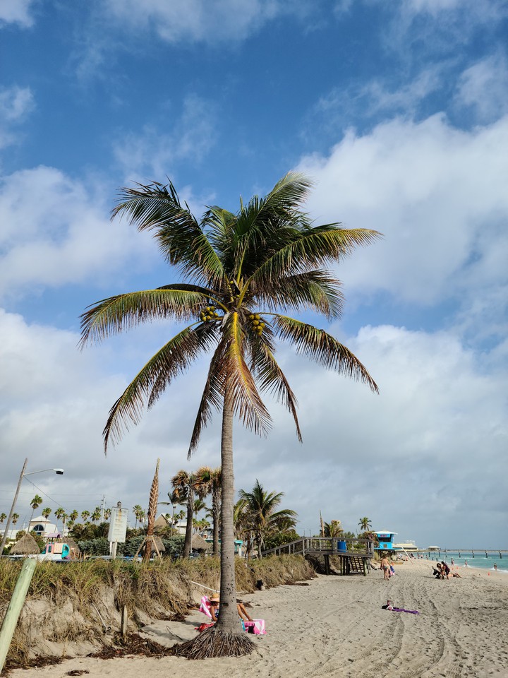 Dania Beach
