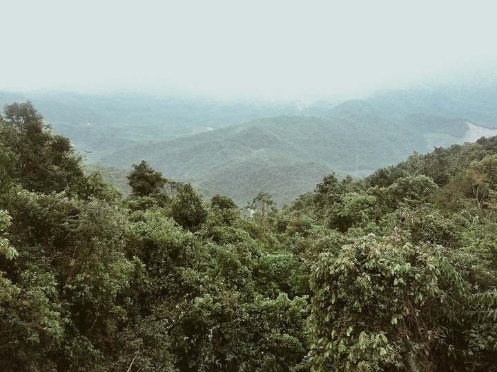 Bước chân lang thang
