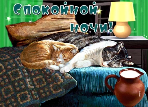 Good night ❤️