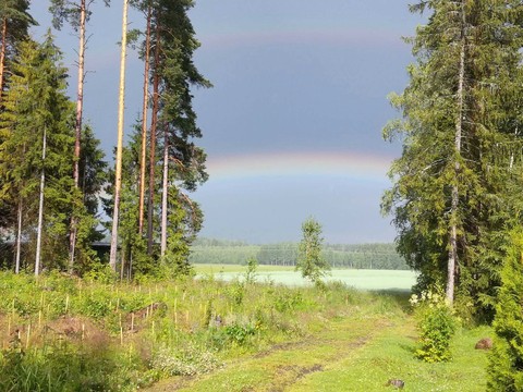 Finland Summer