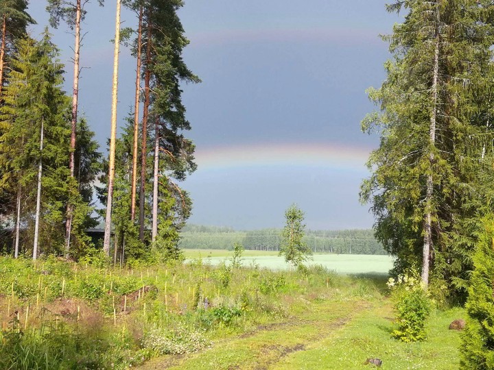 Finland Summer