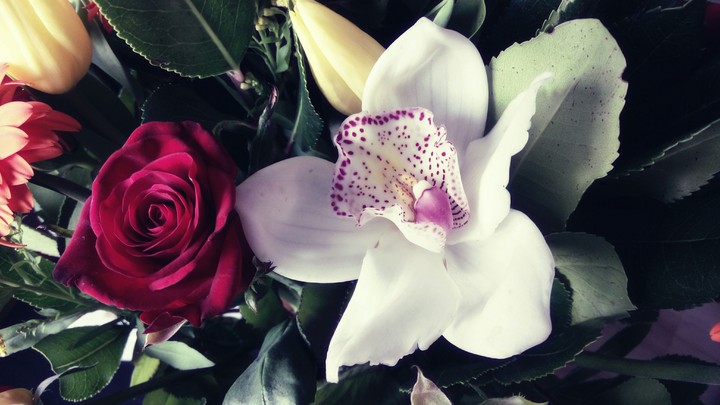 .flowers always make smiles.