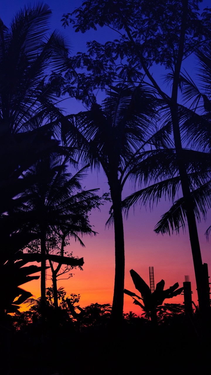 purple