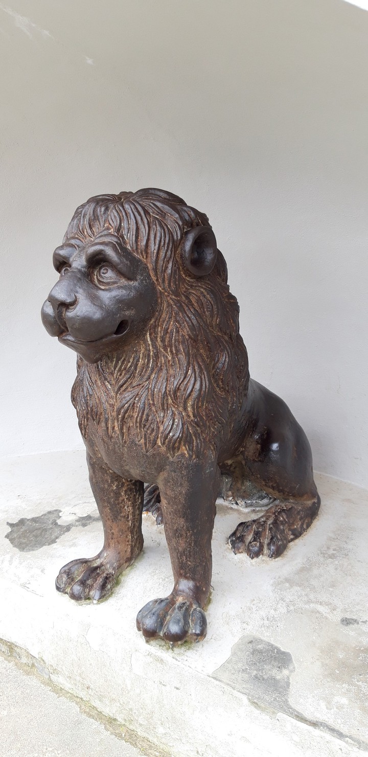 Lion statue near the Amber museum