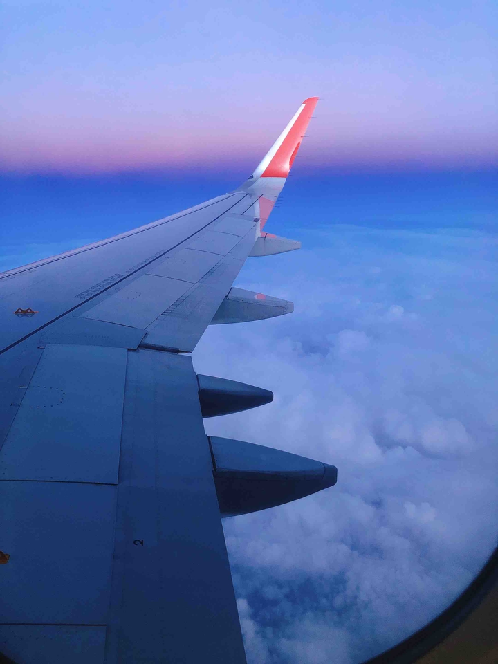 fly