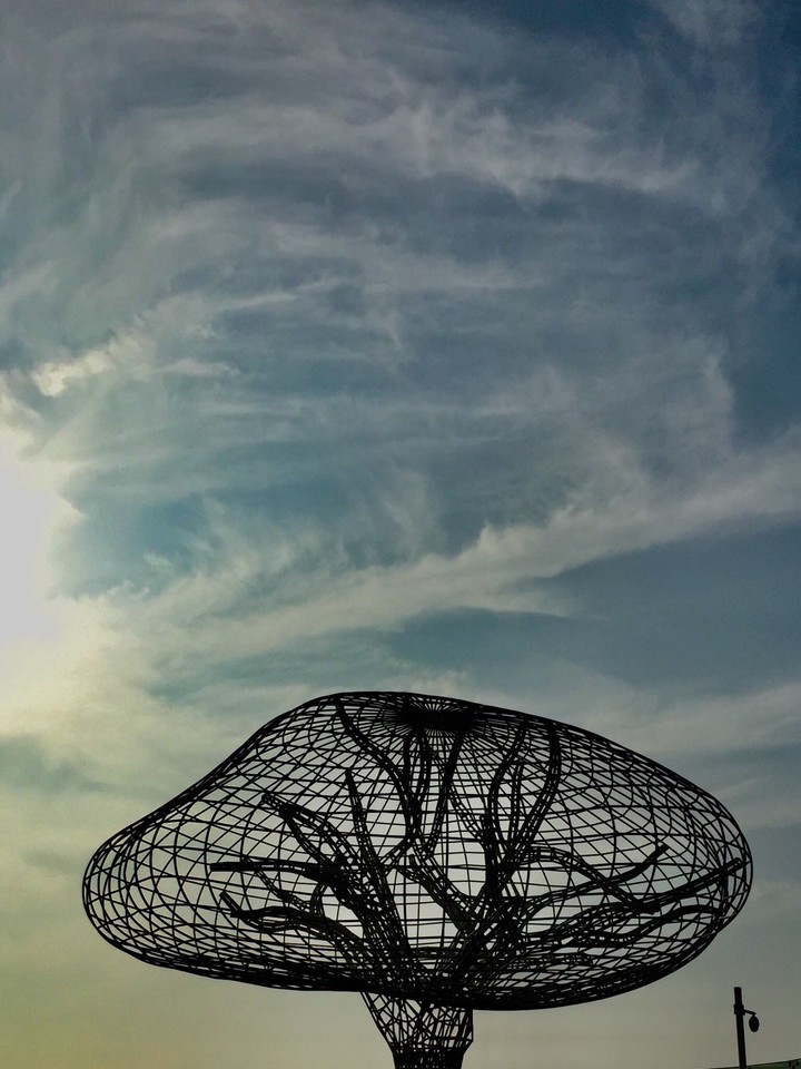 사랑의 나무(Tree of Love)