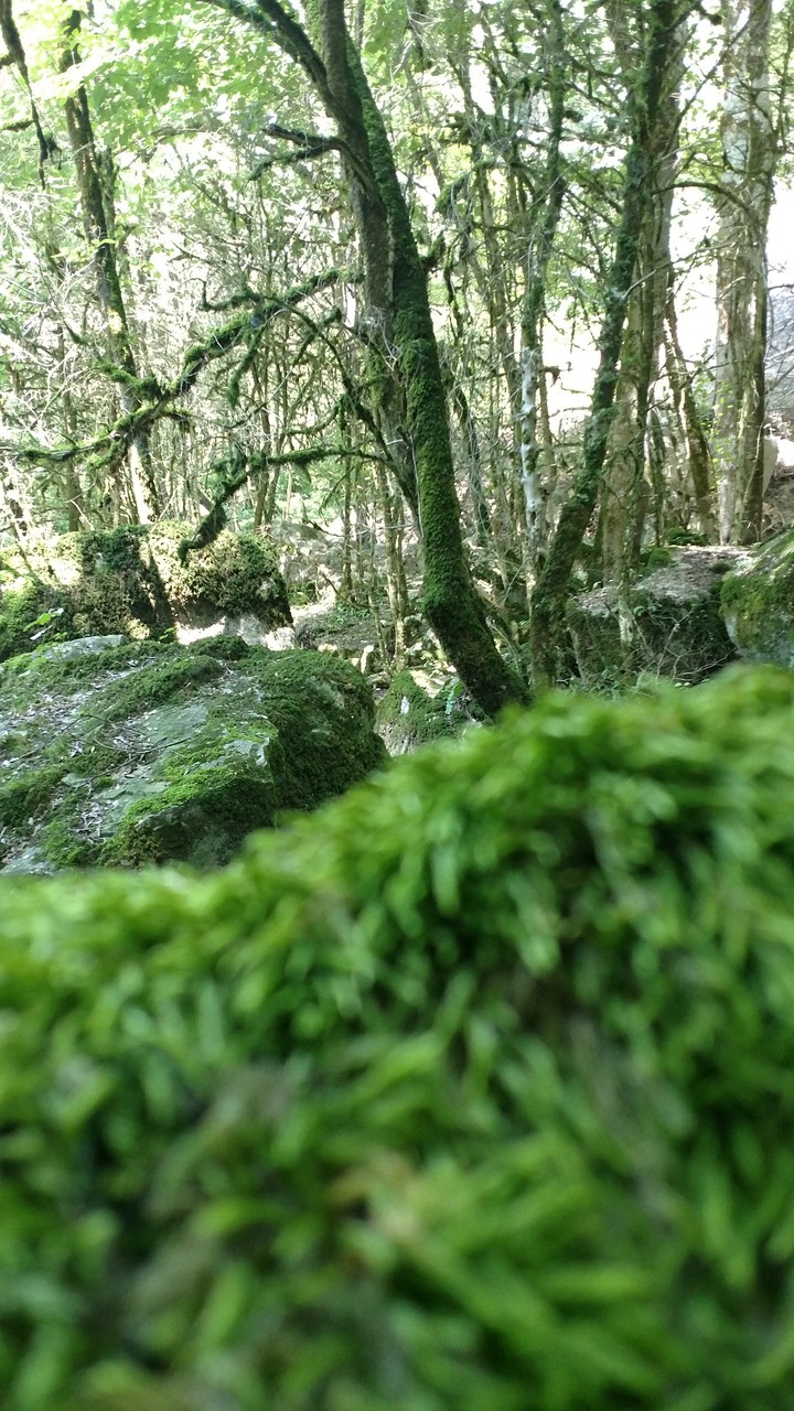 Nature